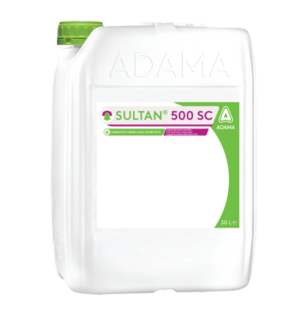 Sultan 500